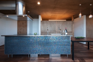 premiumluxuryhomes.com