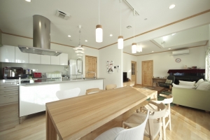 premiumluxuryhomes.com