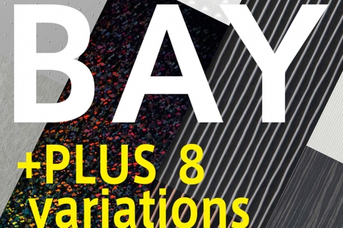 8 loại biến thể cửa đã được thêm vào BAY!