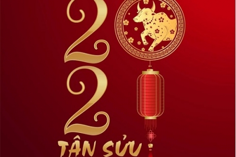 TOYO KITCHEN STYLE VIỆT NAM CHÚC MỪNG NĂM MỚI TÂN SỬU