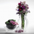 win.tuyetlinhdesign