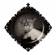 Plate Urbin
