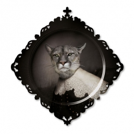 Plate Urbin