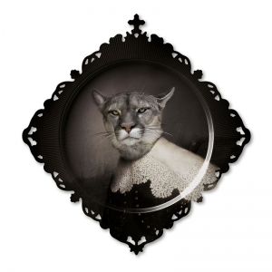 Plate Urbin