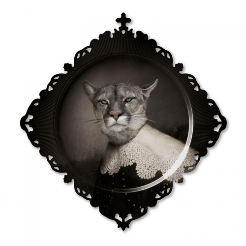 Plate Urbin